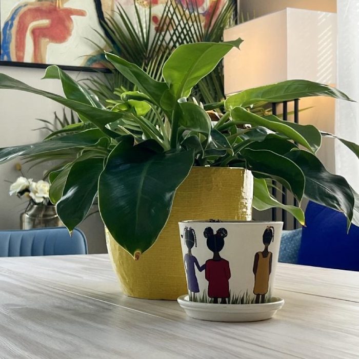 Green plant in a yellow pot indoors.